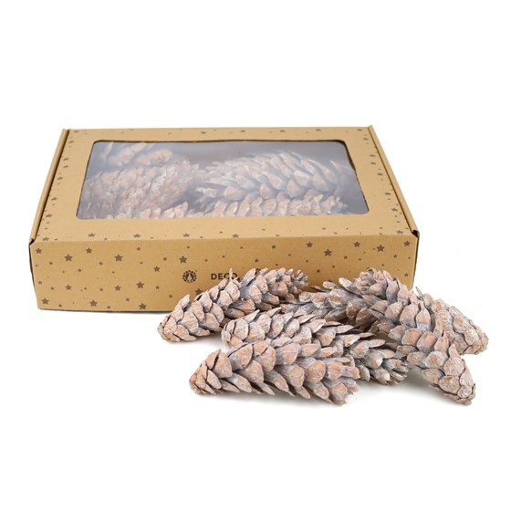 Suho: šišarke 20-25cm x15kom bijeljena
