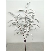Grana eukaliptusa duguljasti listovi 72cm srebrna