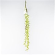 Grana padajuća 90cm sv.zelena