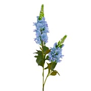 Delphinium/kokotić 75cm sv.plava