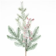 Grana bora s crvenim bobicama zasnježena 60cm