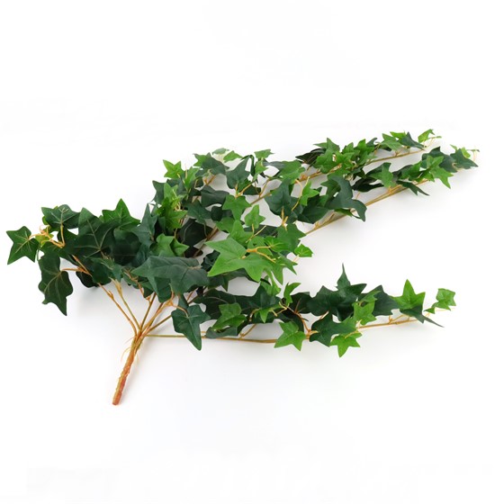 Puzavac engleski bršljan 90cm x7 zelena