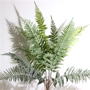 Grana paprati 70cm zelena/bijela