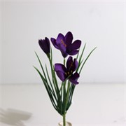 Krokus/Šafran x3 30cm ljubičasta