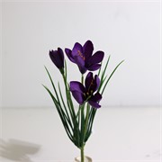 Krokus/Šafran x3 30cm ljubičasta