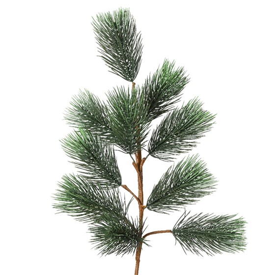Grana bora 80cm zelena