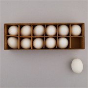 Jaja patke 12kom bijela