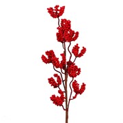 Grana crvene bobice sitne 60cm