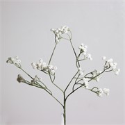 Gipsofilija 65cm bijela