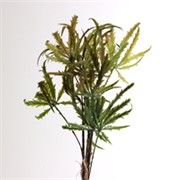 Grana japanskog javora 60cm zelena/crvena