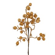 Grana šipka zaleđena 50cm šampanj