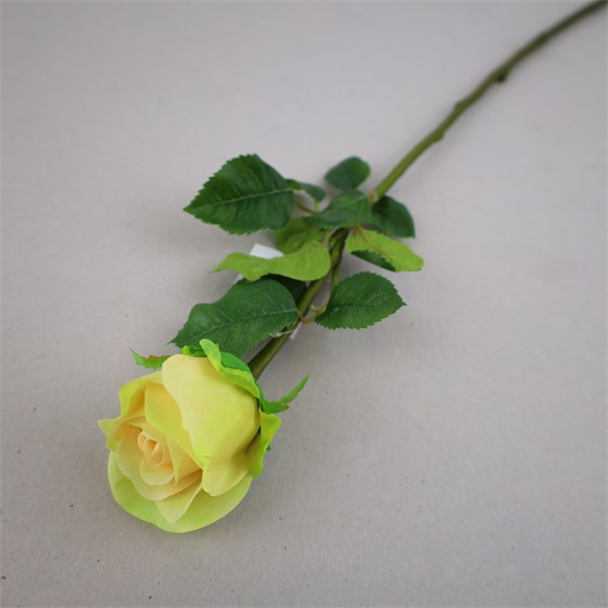 Ruža 65cm RT žuta