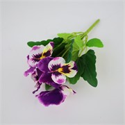 Maćuhica grm x6kom 30cm ljubičasta/žuta/bijela