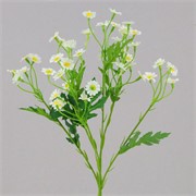 Tratinčica grana 61cm bijela