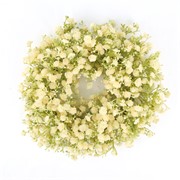 Gipsofilija vijenac suhi 30cm krem