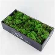 Mahovina islandska 500g zelena