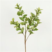 Eukaliptus s pupovima 81cm zelena/bijela