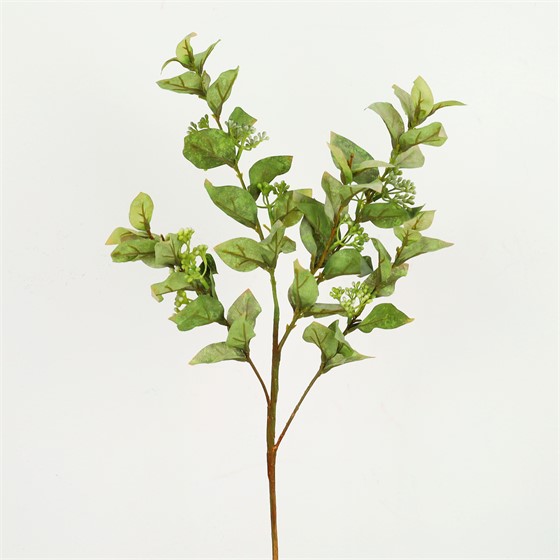 Eukaliptus s pupovima 81cm zelena/bijela