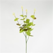 Eukaliptus 48cm moss zelena