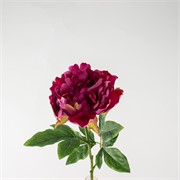 Peonija 61cm t.roza