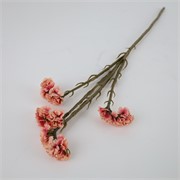 Limonium x4 suhi 64cm antik roza
