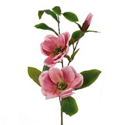 Magnolija grana suha 84cm roza