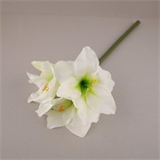 Amarilis 58cm bijela
