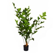 Umjetno drvo Caryota 150cm