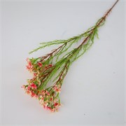 Wax flower 78cm roza/krem