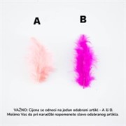 Perje od guske 8-10cm, 20g