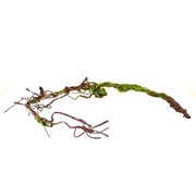 Grana suha 130cm