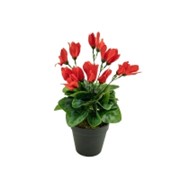 Umjetna ciklama u loncu 38cm/28 listova - crvena