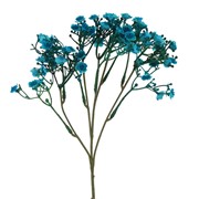 Gipsofilija suha 46cm paun plava