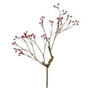 Grana šipka 85cm 24 ploda crvena