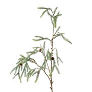 Grana cedra 110cm frost