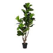 Umjetno drvo Ficus Lyrata 160cm zelena