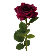 Ruža 70cm RT rosewine