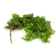 Grm, viseće umjetno zelenilo 103cm t.zelena