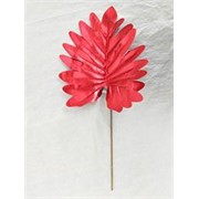 Grana list filodendrona 35cm crveni
