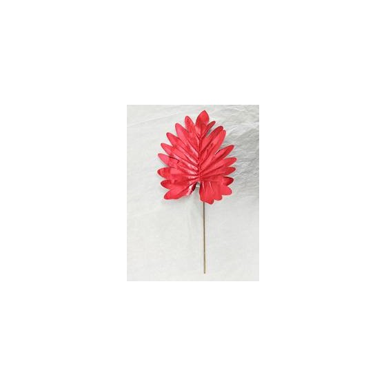 Grana list filodendrona 35cm crveni