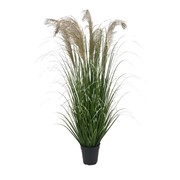 Umjetna trava Pampas u posudi 170cm
