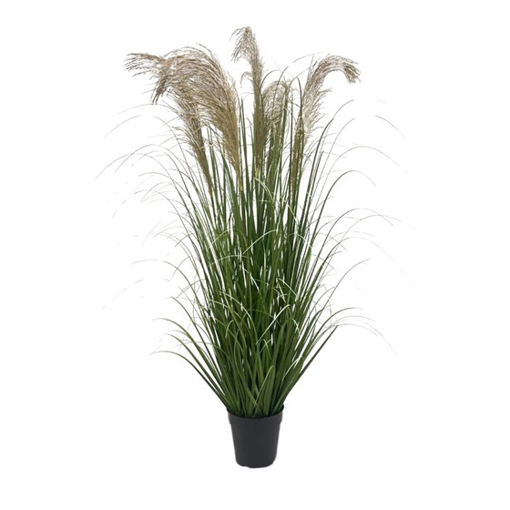 Umjetna trava Pampas u posudi 170cm