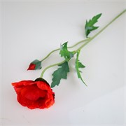 Mak 69cm 1c+1p sv.crvena