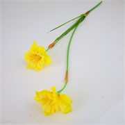 Narcis x2 58cm žuta