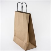 Vrećica 26x12cm h32cm papir natur
