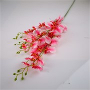 Orhideja Oncidium 102cm roza