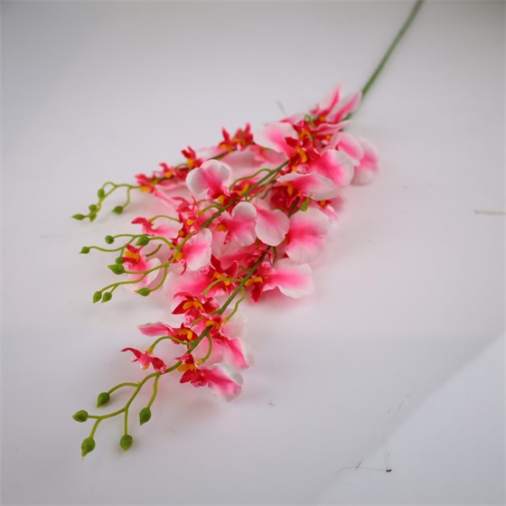Orhideja Oncidium 102cm roza
