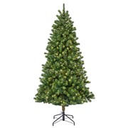 Bor 180cm Kenmore LED zeleni PE d96cm 434grančice/350L