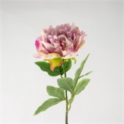 Peonija 61cm lila