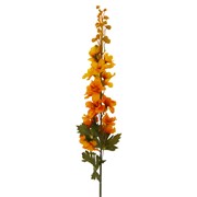 Delphinium/Kokotić suhi 79cm senf